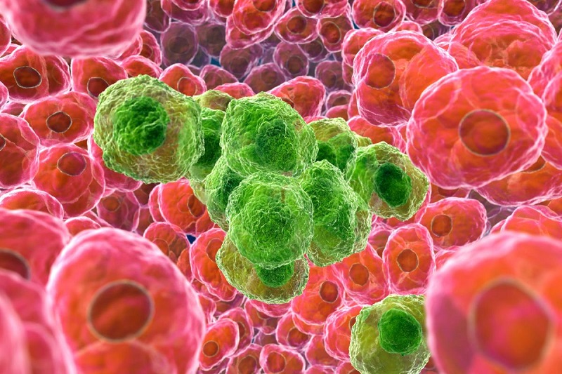 British scientists develop genetically modified virus that kills cancer cells and destroys their hiding places